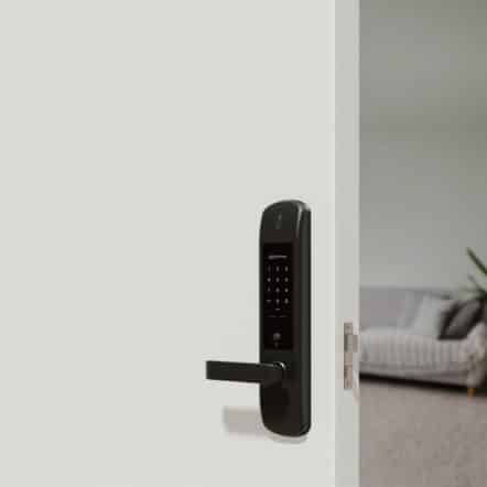 Mortise 2+
